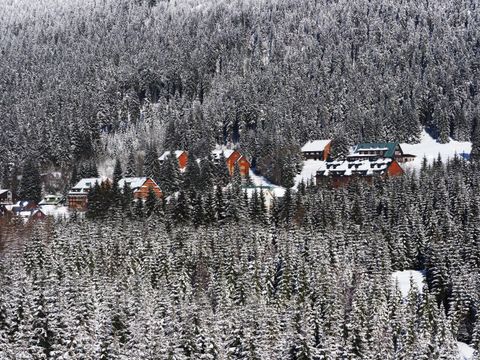 Chalupy v zasněženém lese nad Špindlerovým Mlýnem